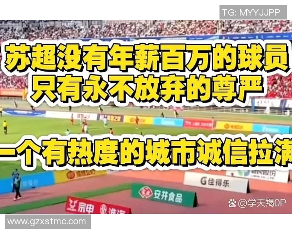 徐亮足球生涯薪资揭秘及其对中国足球发展的影响分析